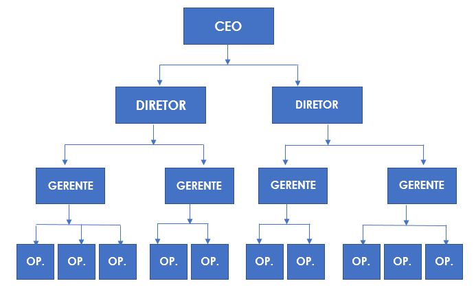 Na imagem apresenta-se um exemplo de estrutura empresarial e RH